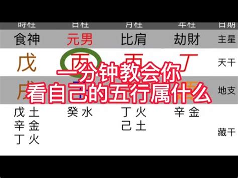 如何看五行屬性|如何知道一個人的五行屬什么